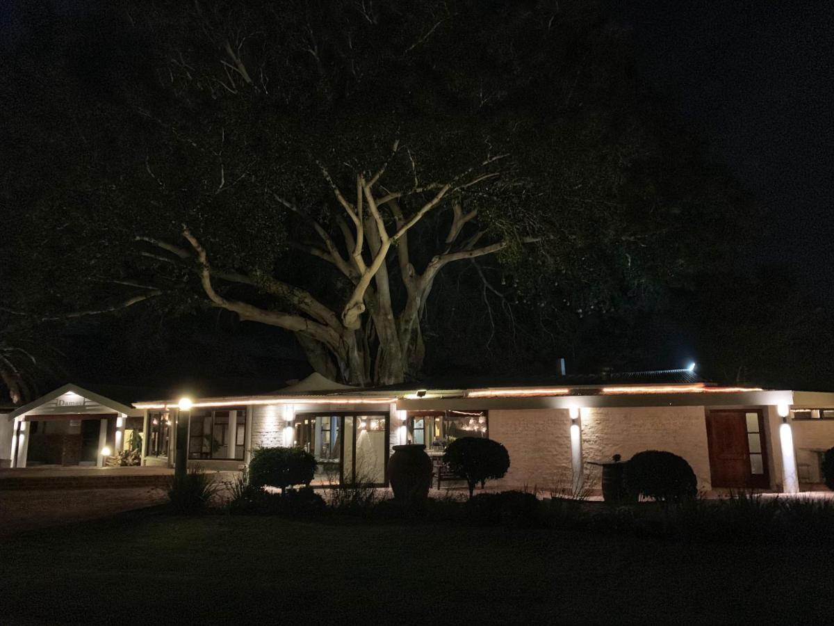 Damas Guest Farm Ξενοδοχείο Worcester Εξωτερικό φωτογραφία